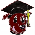 Pet Obedience Foundations