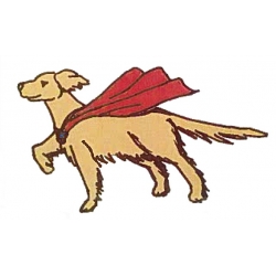 Awesome Dog!