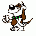 Basic - Beginners Good Manners Class