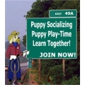 Puppy Socialization Group Night Puppy Socialization Group Night
