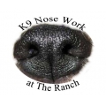 Introduction to Nosework