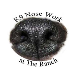 Nosework III - Preparing for the O.R.T. Nosework III - Preparing for the O.R.T.