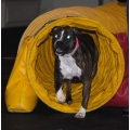 Intermediate Agility