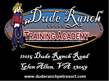 Dude Ranch Academy Dude Ranch Academy